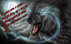 Волк с моралью